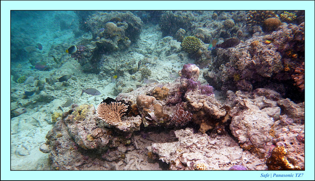 2011 - 08 - Bohey Dulang Island 04